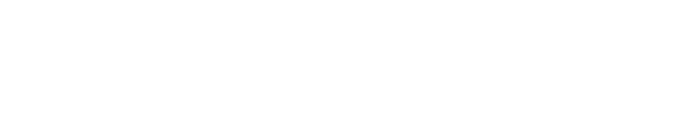 STP-PHONE