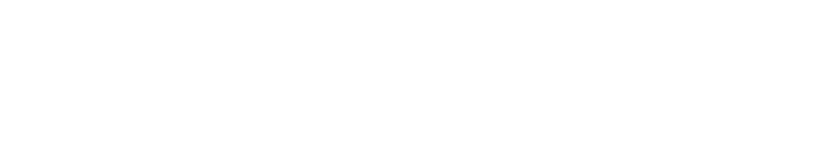 STP-PHONE